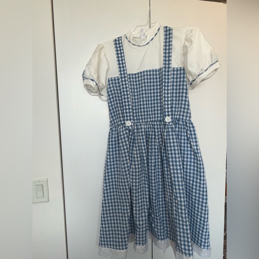 Dorothy Wizard of Oz Blue Gingham Suspender Dress and accessories - Picture 5 of 13